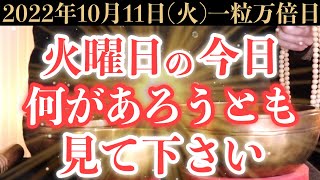 【最高にヤバい!】10月11日(火)の今日までに何があろうとも絶対見て下さい！このあと、お財布の中身が非常に潤う予兆です！【2022年10月11日(火)一粒万倍日の金運大吉祈願】