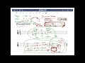 dominant의 텐션 뭐든 다 된다구 음악공방 하루 제69공방 tension 2