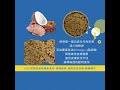 法米納 nd 天然藜麥無穀機能 主食罐 貓用皮毛保健 鵪鶉椰子 20210420