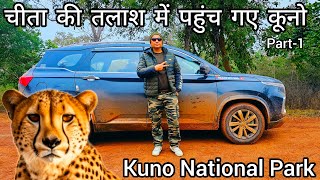 Kuno National Park | चीता की तलाश में पहुंच गए कूनो | #wildlife #cheetah #madhyapradesh Part-1