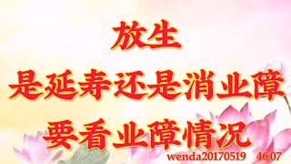 卢台长开示： 放生是延寿还是消业障，要看业障情况wenda20170519  46:07