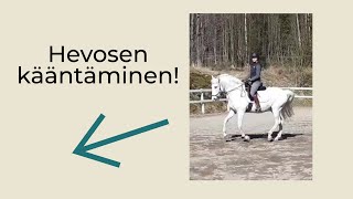 Kuinka ohjaan/käännän hevosta? (Istunta + tyypillisimmät virheet)