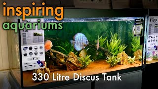 Inspiring Aquariums - 330 Litre Discus Tank