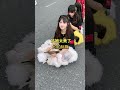 要不要这么萌呀！潮汕小狮妹！妥妥的美人胚子！ 熱門 美女 弘扬和传承民俗文化 潮汕民俗文化 醒狮文化 beautiful