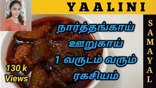 Narthangai Pickle in Home |நார்த்தங்காய் ஊறுகாய் | How to make Citron Pickle Recipe | Oorugai Recipe