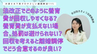 養育費を支払ってくれない場合に法改正で回収しやすくなったか。新回収方法で、養育費が支払ってもらいやすくなる理由は？回収しやすい離婚調停時の養育費の決め方は？〜弁護士木下貴子のやさしい離婚解説115