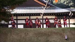 井伊の鉄砲隊　火縄銃演舞【HD】　Red samurai matchlock gun shooting