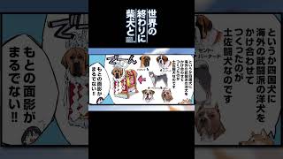 土佐闘犬のルーツを語る柴犬 #shorts 【世界の終わりに柴犬と切り抜き / アニメ / 漫画】