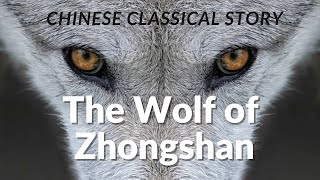 Stories Myth Mythology | Asian folklore Tales Fable | China Animal Creature 【The Wolf of Zhongshan】