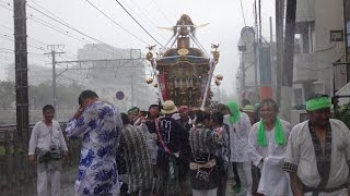 平成２８年　茅ヶ崎市小和田　熊野神社例大祭　どしゃぶり渡御（初めだけ）