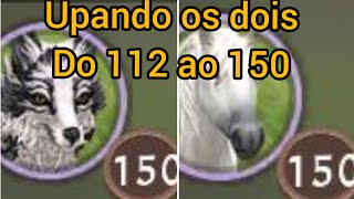 Upando a raposa e o cavalo do 112 ao 150 (ESPECIAL DE 400 INSCRITOS♥️) WildCraft