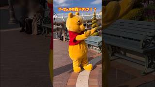 【プーさんお腹アタック？】#ディズニー#ディズニーランド#プーヲタ#プーさん#プー #TDL#winniethepooh#pooh#disneyland#disney#greeting#小熊維尼