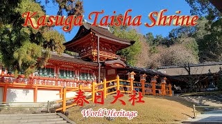 4K【春日大社】Kasuga Taisha Shrine | God of Deer | World Heritage | 世界遺産