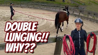 DOUBLE LUNGING! WHY IS IT DONE? - (Thoroughbred Horses) OTTB Series