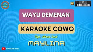 Wayu Demenan - ( KARAOKE COWO ) Maylina