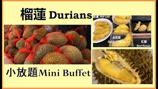 Bilingual 粵英雙語: 閒情相敍 My Chit Chat Time - 榴蓮小放題 Durians mini buffet, 金枕頭 golden pillowHorlor 葫蘆,紅蝦 ..