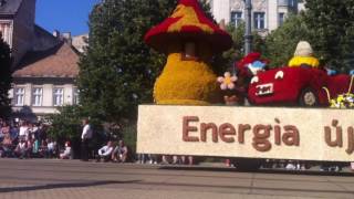 50TH FLOWER FESTIVAL ( in Debrecen , Hungary )