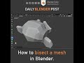 Bisect Tool in Blender