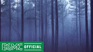 Deep Sleep Forest Healing Music - Calm and Peaceful Background Music for Meditation
