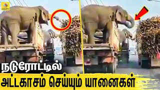 Signal-ல் Cute குறும்புத்தனம் செய்த யானைகள் | Viral Video, Elephant