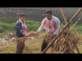 মাঘ বিহুৰ video january 14 2025 bihu bhogali bihu magh bohu