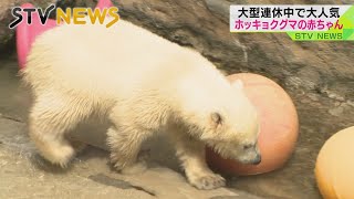 【アイドル】多くのカメラが向けられた先には…愛くるしさふりまく４０年ぶりの赤ちゃん　北海道・旭山動物園