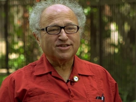 David Friedman On How To Privatize Everything - YouTube