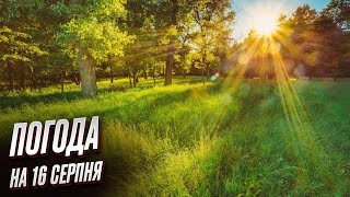 🌞 Спека накрила Україну! Тримайтесь до кінця тижня!