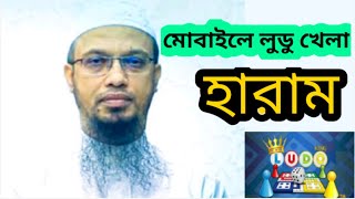 অবশ্যই দেখুন, মোবাইলে লুডু খেলা হারাম | শায়খ আহমাদুল্লাহ