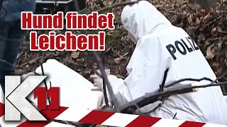 Mordserie im Wald: Ungeklärte Todesfälle! | 1/2 | K11 - Die neuen Fälle | Sat.1