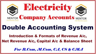 Electricity Company Accounts - 1. Double Accounting System Format of Financial Statements