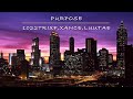 1022trxp - Purpose ft. Xance & Luuhtae [lyric video]