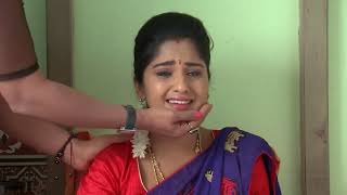 Kalyana Vaibhogam - Ep 757 - Meghana Lokesh - Telugu Tv Serial - Zee5 Telugu Classics