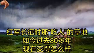 红军长征时那“吃人”的草地，如今过去80多年，现在变得怎么样？