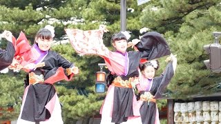 TUNAMIK-ai　第12回京都さくらよさこい 1日目 神宮道（審査会場）