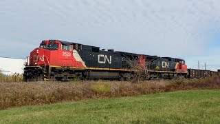 [4K] A Late CN M331 Past 1st Street Louth