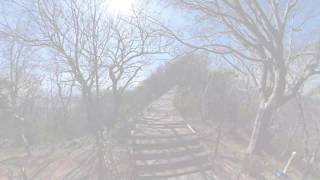 【4K 伊豆の絶景】伊豆の国市・伊豆パノラマパーク Izunokuni Panorama Park 「ボードウォーク」 (A Walkway Made Of Wooden Boards)