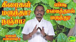 கீரைகள் மருந்த ? நஞ்சா ? எப்படி சமைத்தால் மருந்து ? உணவும் உண்மையும் !Are greens medicinal? Poison?