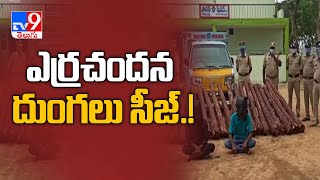 అక్రమంగా తరలిస్తున్న ఎర్రచందనం సీజ్ - TV9