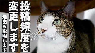 【お知らせ】今後の動画の投稿頻度について。理由もお話しします