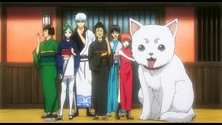 「AMV」Gintama - OP 21 (\