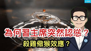 為何習主席突然認慫了？殺雞儆猴效應？今天一家中國公司令美國股市蒸發一萬億美元，為何華爾街被嚇尿了？一月份數據顯示經濟沒有被刺激起來。