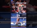 Floyd Mayweather schooled Canelo #shorts