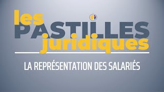 LA REPRÉSENTATION DES SALARIÉS | Vidéo Gratuite [CC:BY-NC-ND]