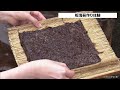 海の博物館で昔ながらの手すき海苔づくり　親子連れらが「貴重な体験」　三重・鳥羽市