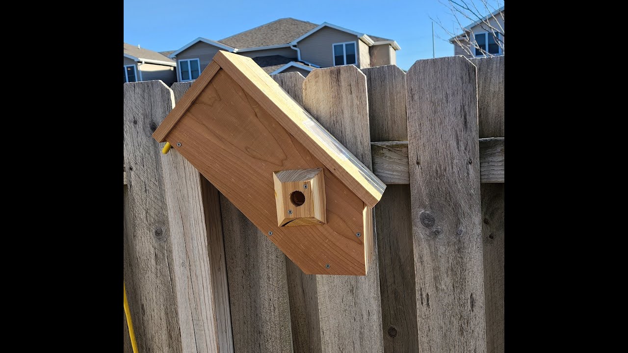 New Bird Box Youtube