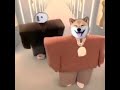 Kanye West & Lil Pump ft. Adele Givens - "I Love It" (DOG Parody Video)