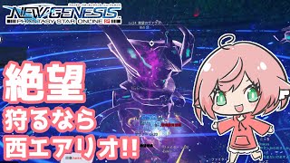 【PSO2：NGS】絶望エネミーは西エアリオのヴァラスが戦いやすい！