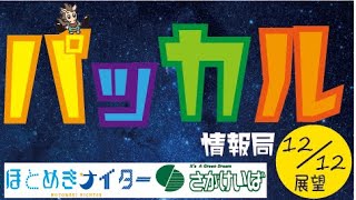 さがけいば【パッカル情報局12/12レース展望】小岱山賞ほか