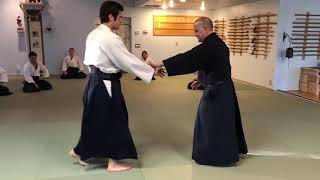 Aikido: Sumi Otoshi and Ukemi